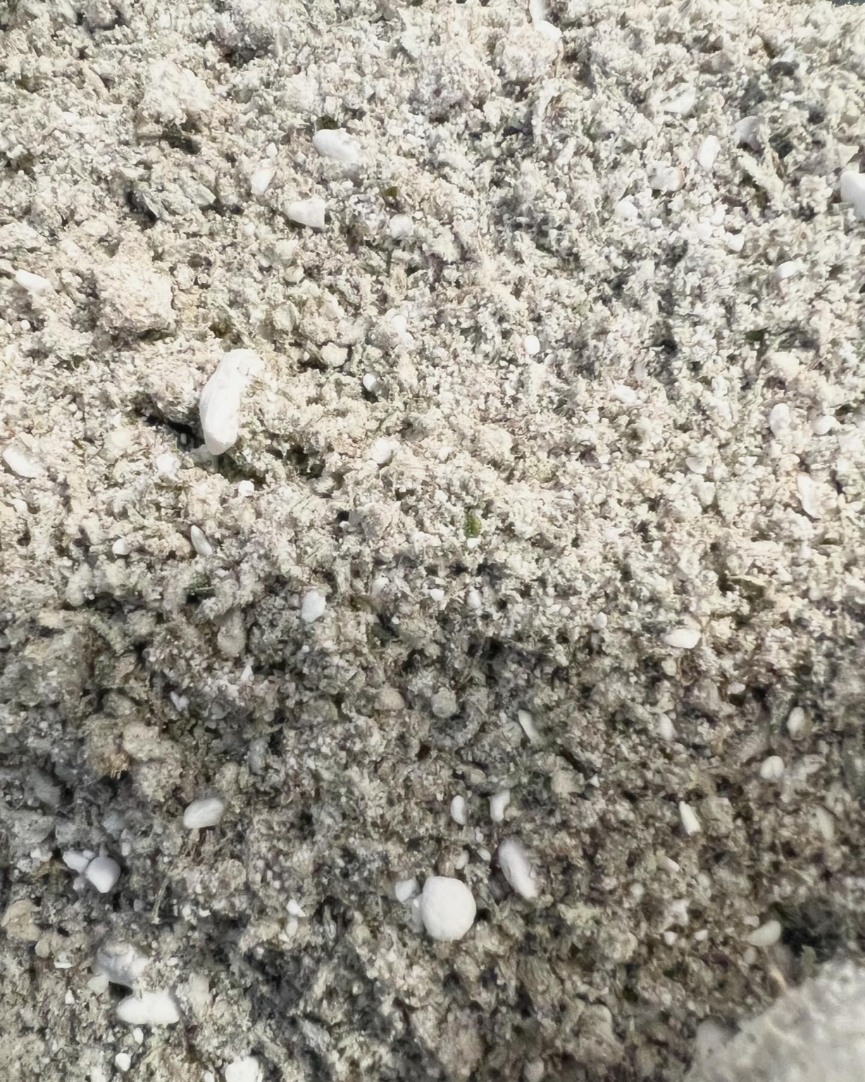 CBD Dust Image 1