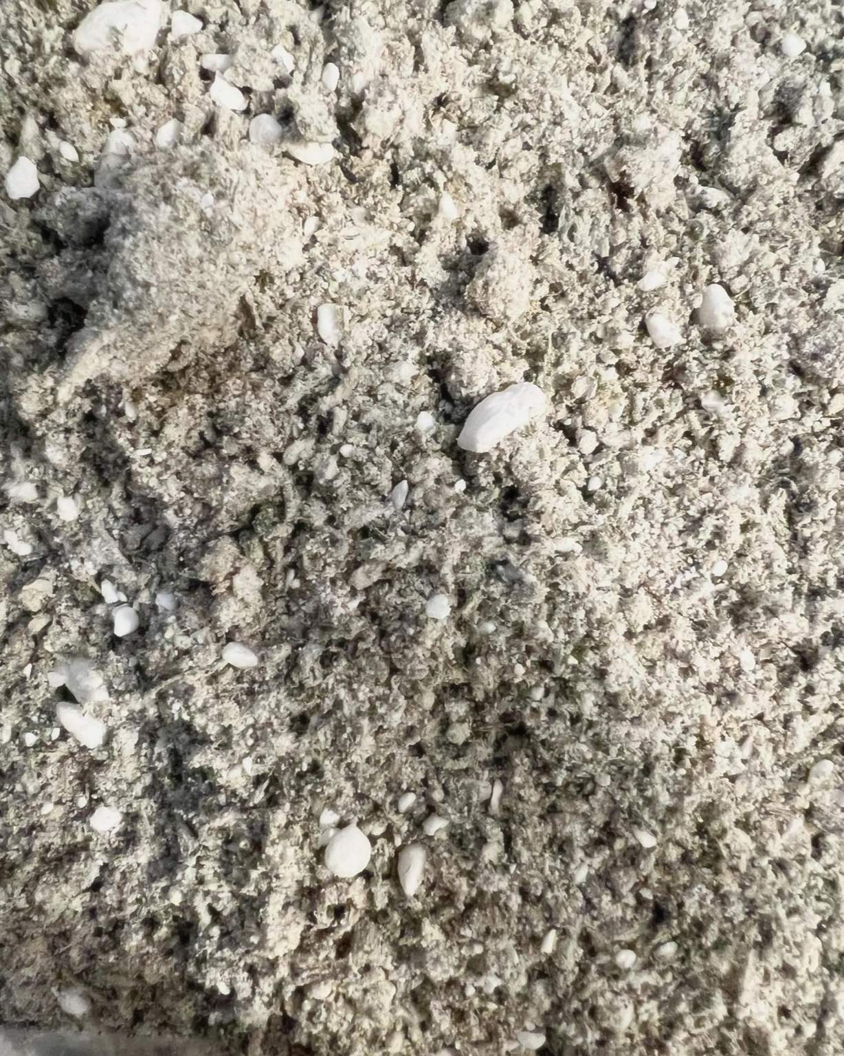 CBD Dust Image 2